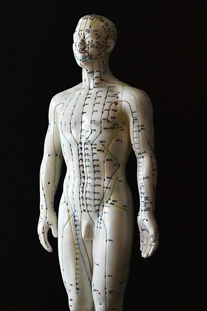 Statuette des méridiens d’acupuncture